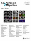 Cell Adhesion & Migration