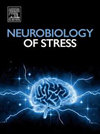 Neurobiology of Stress