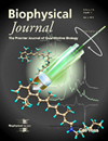 BIOPHYSICAL JOURNAL