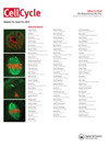 CELL CYCLE