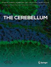 CEREBELLUM