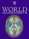 World Neurosurgery: X