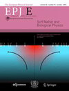 EUROPEAN PHYSICAL JOURNAL E