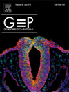 GENE EXPRESSION PATTERNS