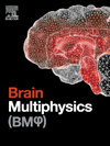 Brain Multiphysics