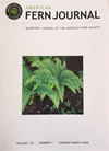 AMERICAN FERN JOURNAL