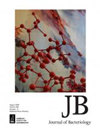 JOURNAL OF BACTERIOLOGY