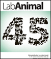 LAB ANIMAL