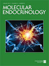 MOLECULAR ENDOCRINOLOGY