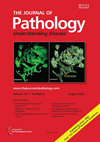 PATHOLOGY ANNUAL