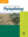 PHYTOPATHOLOGY