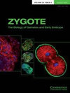 ZYGOTE