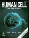 Human Cell