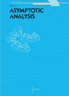 ASYMPTOTIC ANALYSIS