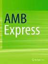 AMB Express